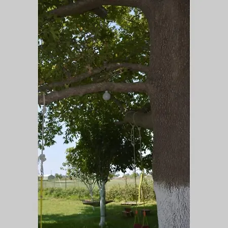 Farm House 