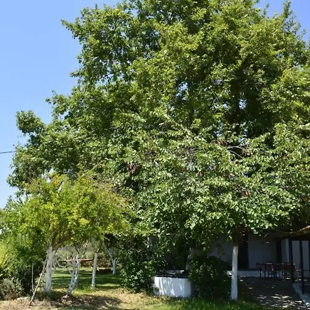 Дом отдыха Farm House 